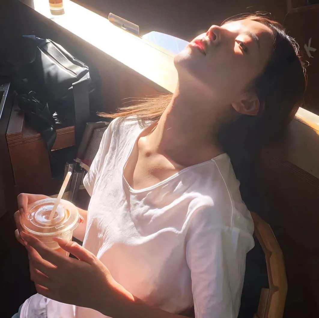 一棵树的纠纷
