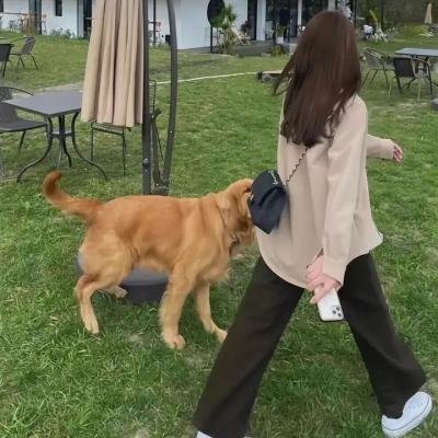 演员请就位第三季